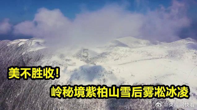 厉害了我的巧虎8